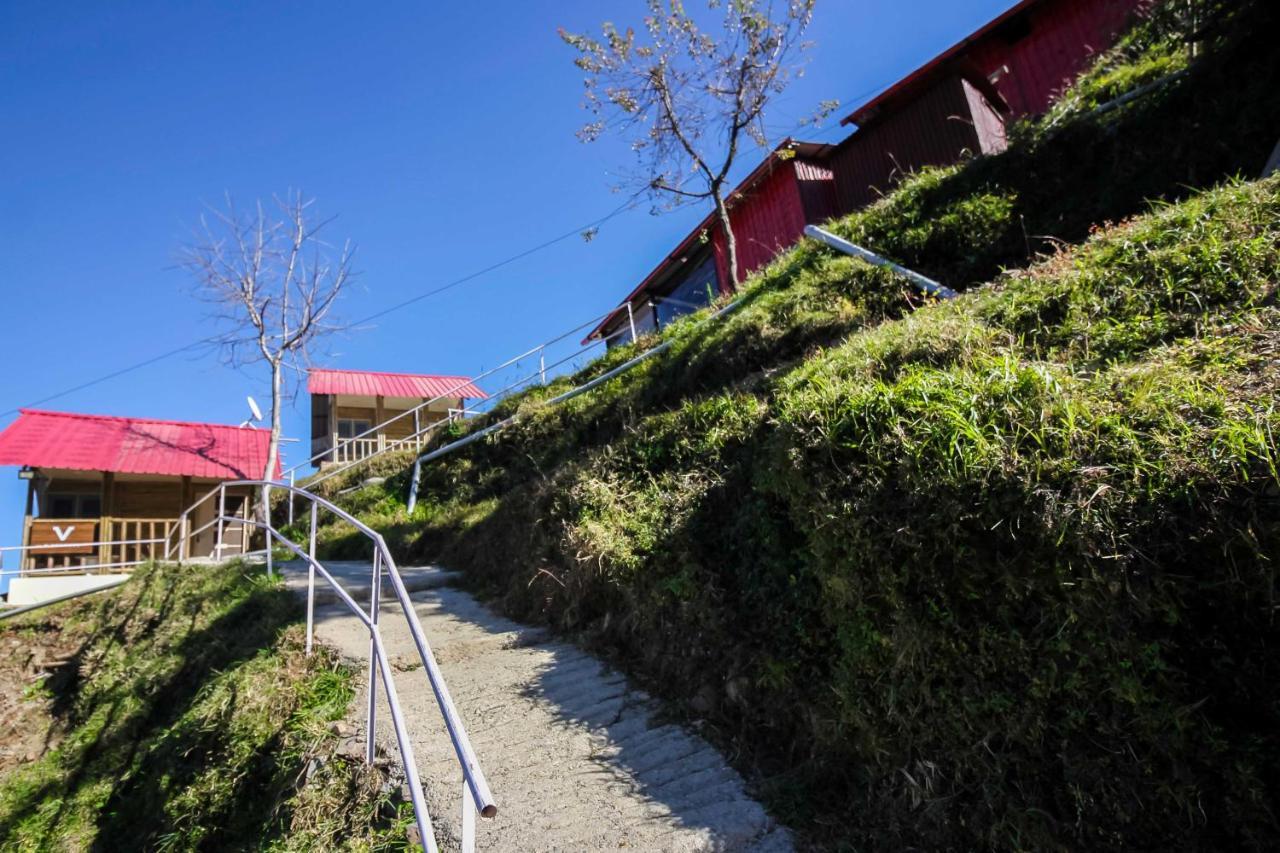 Glamwood Resort Dhanaulti, Ranked 1 In Đồi Dhanaulti Ngoại thất bức ảnh